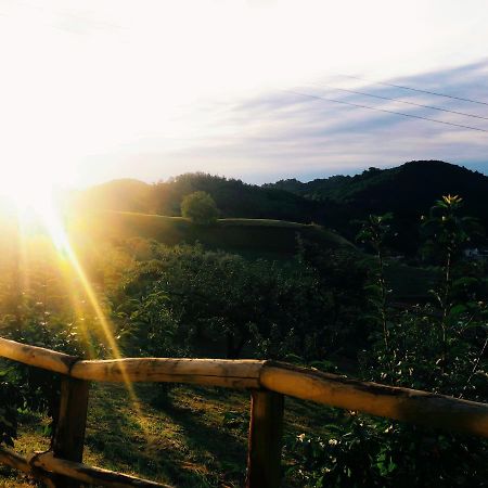 마로스티카 Agriturismo Al Ciliegio 빌라 외부 사진