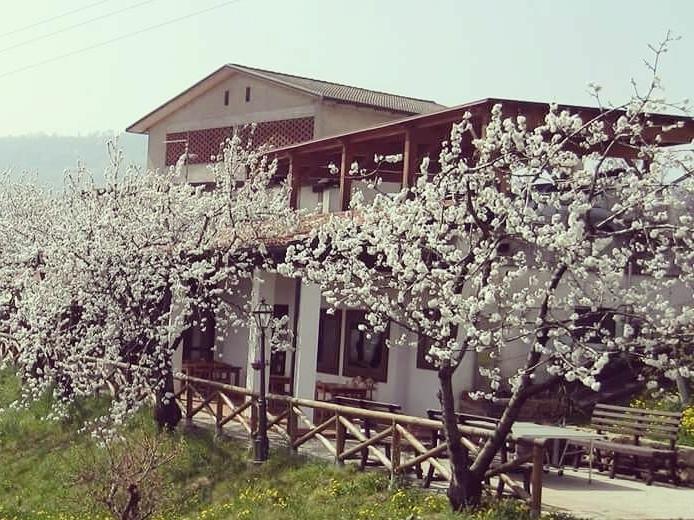 마로스티카 Agriturismo Al Ciliegio 빌라 외부 사진